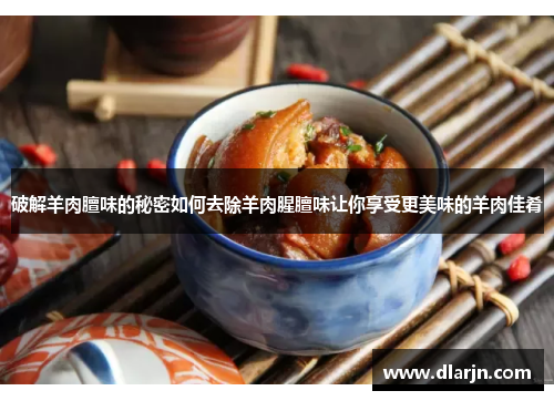 破解羊肉膻味的秘密如何去除羊肉腥膻味让你享受更美味的羊肉佳肴